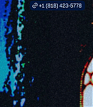 307.jpg