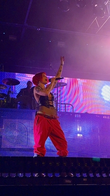 © x.com/terrahdactyl
