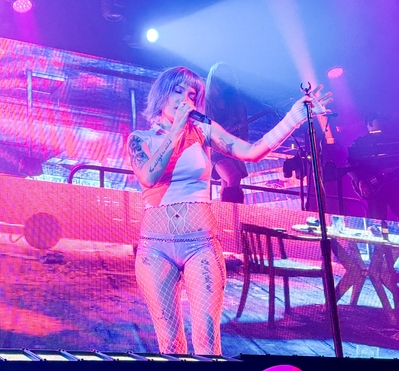 © x.com/myvelveteIvis
