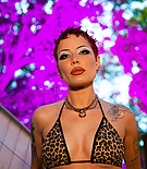 005.jpg